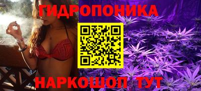 стаф Среднеуральск